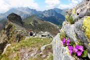 In vetta al Monte Valletto a tutta Birra dai Piani dell’Avaro il 23 giugno 2016  - FOTOGALLERY